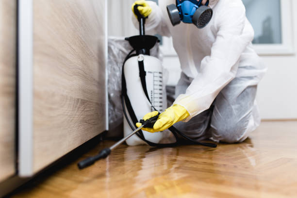 Best Mosquito Control Services  in Trenton, MI