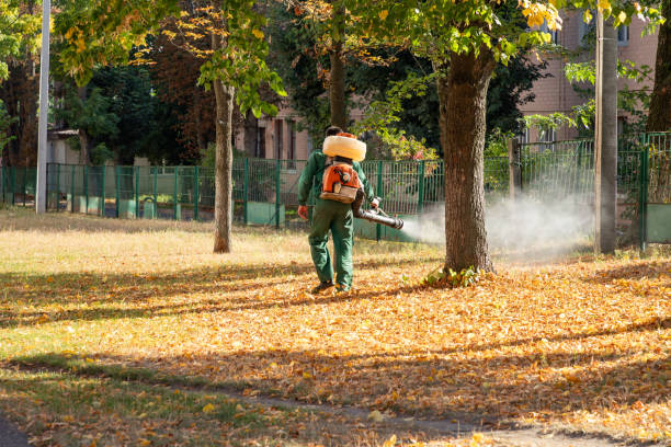 Best Best Pest Control Companies  in Trenton, MI
