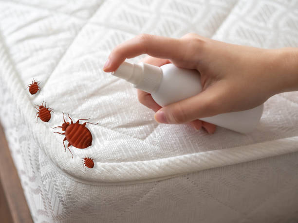 Best Best Pest Control Companies  in Trenton, MI
