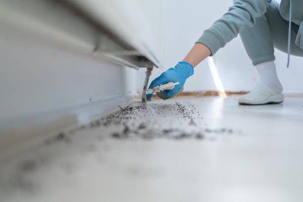 Best Pest Prevention Services  in Trenton, MI