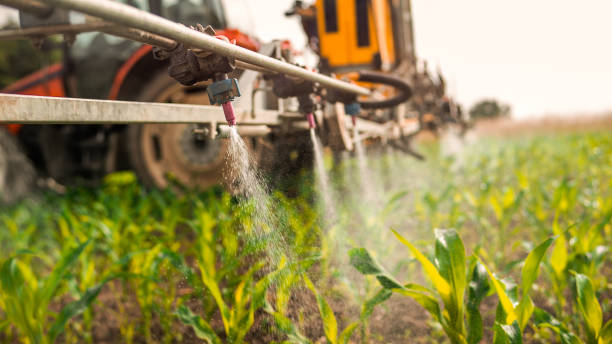 Best Local Pest Control Services  in Trenton, MI